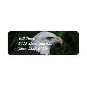 Etiqueta Eagle Beaked afiado