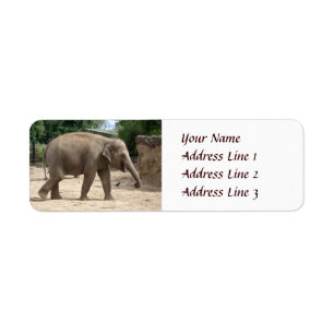 Etiqueta Elefante asiático que anda no endereço do