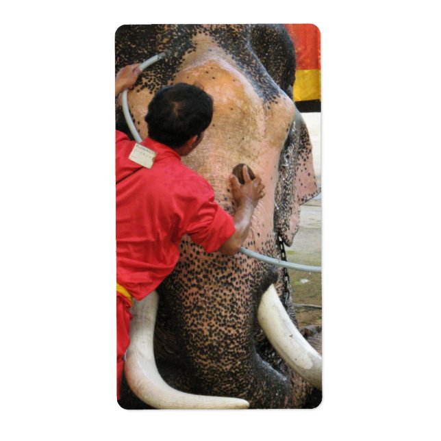 Etiqueta Elefante Bathtime... Ayutthaya, Tailândia (Frente)