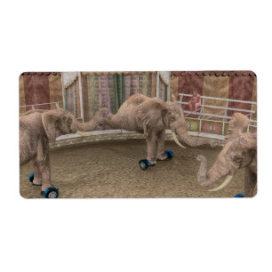 Etiqueta Elefantes de Circo Engraçados