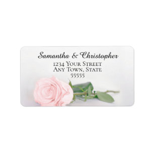 Etiqueta Elegante Blush Pink Rose Endereço De Casamento