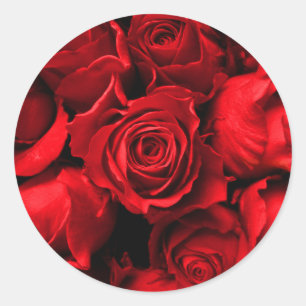 Etiqueta elegante da rosa vermelha