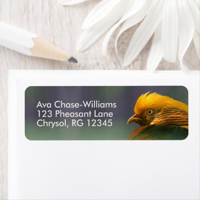 Etiqueta Emergente do Verde: Faisão Ouro (Insitu)