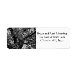 Etiqueta Encontre-me nas árvores