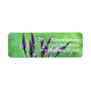 Etiqueta Endereço da Flor do Vervain Purple Selvagem