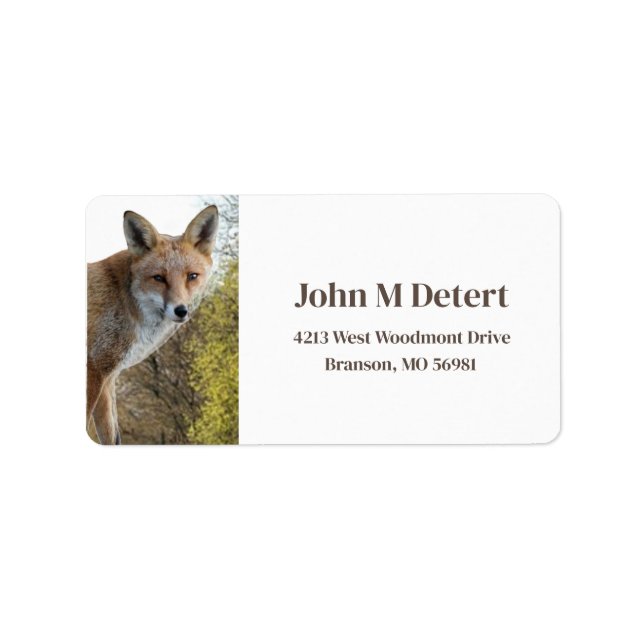 Etiqueta Endereço da Raposa  (Frente)