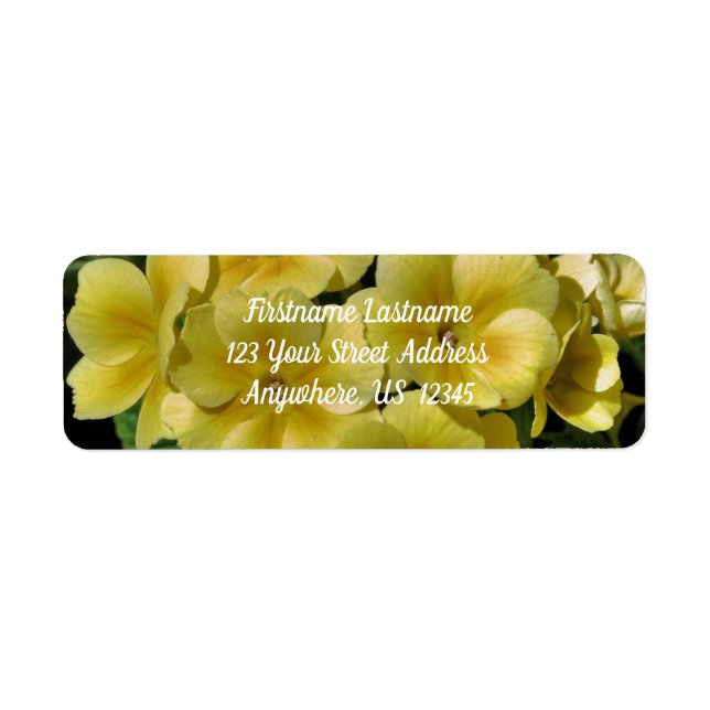 Etiqueta Endereço das Flores de Primrose Amarela (Frente)