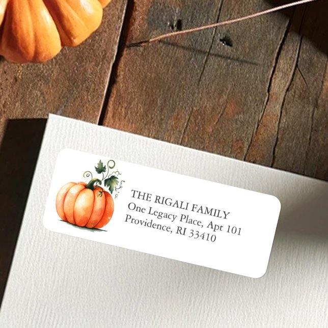 Etiqueta Endereço de devolução da Abóbora de Aquarela (Pumpkin return address labels in watercolor shades or orange and green for fall and rustic events)