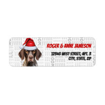 Endereço de devolução do Cachorro de Ponteiro Shor