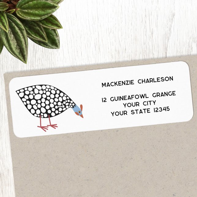 Etiqueta Endereço de devolução para aves de combate (Fun Guineafowl bird return address label)