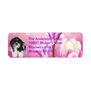Etiqueta Endereço de Devolução Shih Tzu & Flores