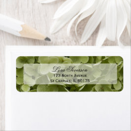 Etiqueta Endereço de Retorno do Flor de Hydrangea Verde