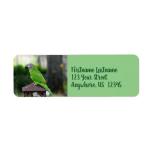 Etiqueta Endereço do Papagaio de Conure com Cabeçalho Dus
