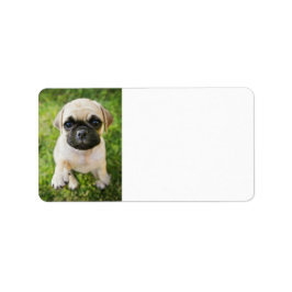 Etiqueta Endereço Personalizado de Foto Pet Cute