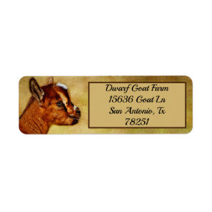 Etiqueta Endereço personalizado nigeriano Dairy Goat Kid