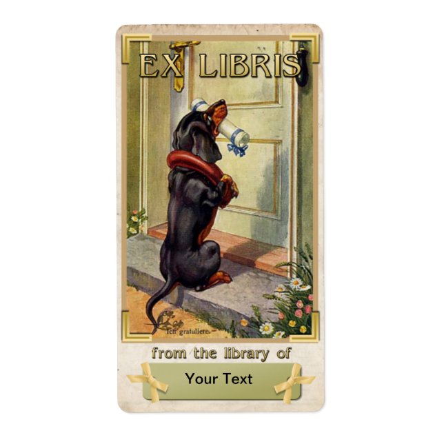 Etiqueta Entrega Especial Dachshund - ID da Placa do Livro (Frente)