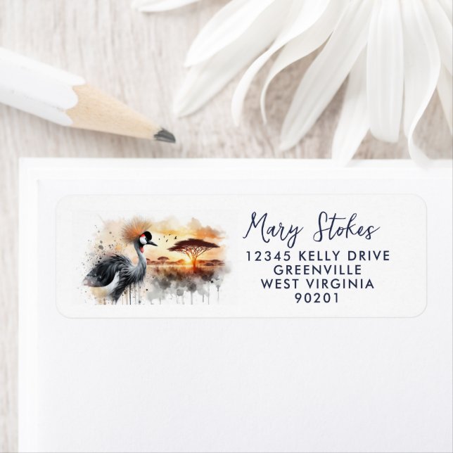 Etiqueta Envelope com Endereço de Remetente Personalizado | (Insitu)