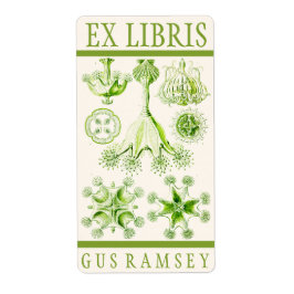Etiqueta Ernst Haeckel Stauromedusae Bookplate