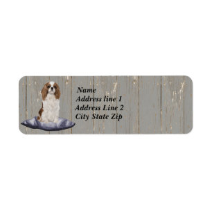 Etiqueta Espanhol De Cocker Bonito Sentado Em Uma Almofada