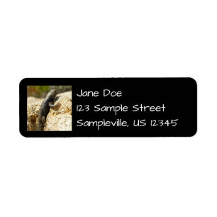 Etiqueta Espinheiro de cor amarela no Joshua Tree