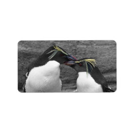 Etiqueta Explosão de Cor de Pinguim