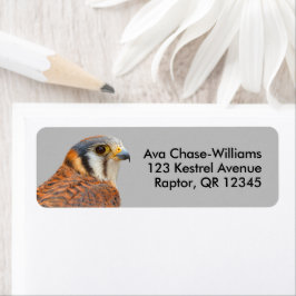 Etiqueta Falcão Americano Kestrel Sparrowhawwawk espantoso