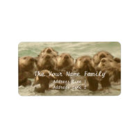 Família Sea Otter