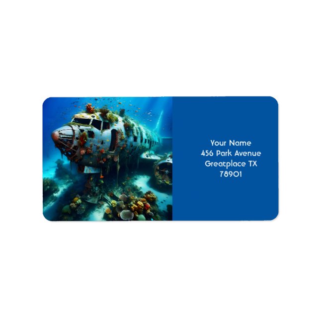 Etiqueta Fantasy Cute Broken Airplane Ocean (Frente)