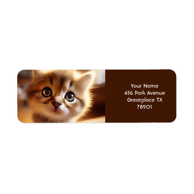 Etiqueta Fantasy Cute Closeup Pequeno Kitten (Frente)