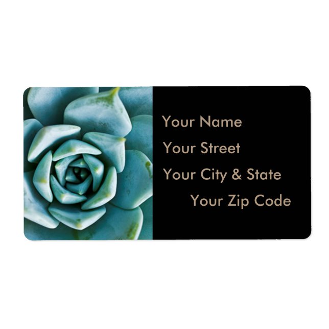 Etiqueta Fechamento Suculento (Frente)