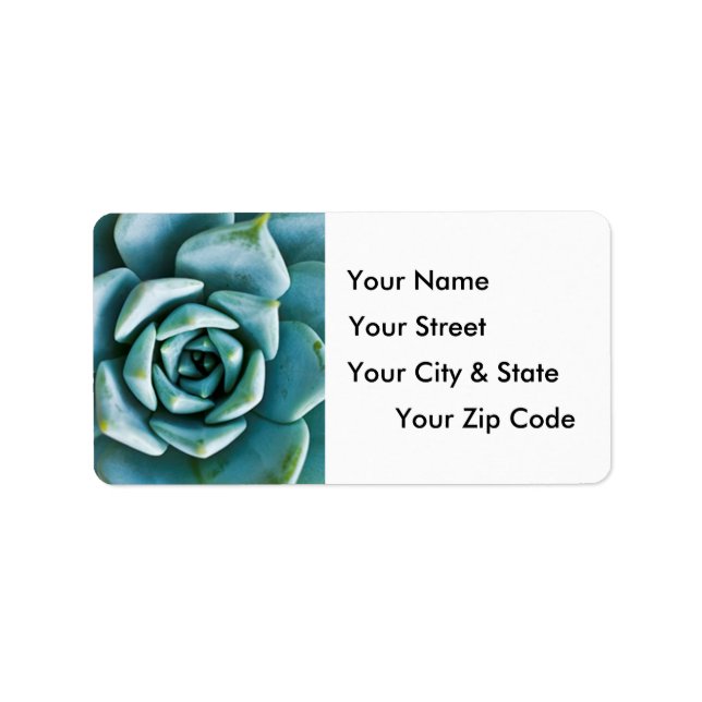 Etiqueta Fechamento Suculento (Frente)