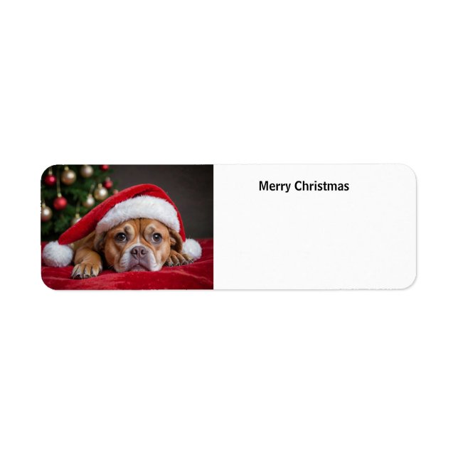 Etiqueta Feliz Cão de Natal (Frente)