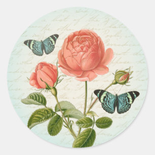 Etiqueta feminino do rosa do vintage com
