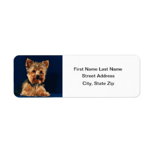 Etiqueta Filhote de cachorro do yorkshire terrier