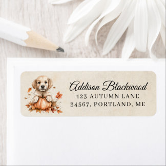 Etiqueta Filhote de Golden Retriever Fofo com Abóbora