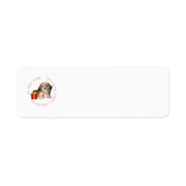 Etiqueta Filhote de Shih Tzu Primeiro Natal (Frente)