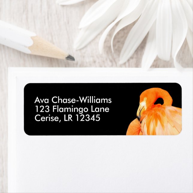 Etiqueta Flamingo no Sol de Verão (Insitu)