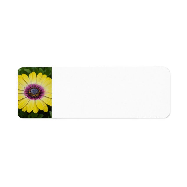 Etiqueta Flor amarela (Frente)