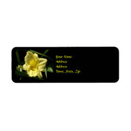 Etiqueta Flor Amarelo Daylily