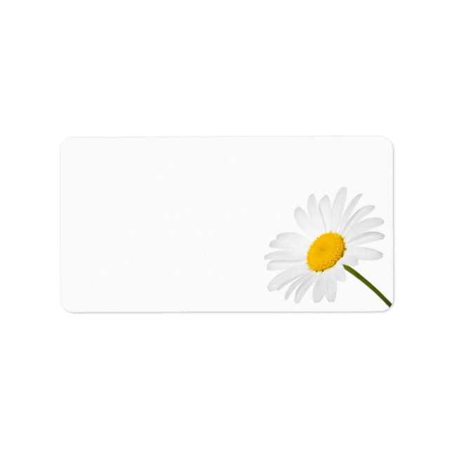 Etiqueta Flor Chamomile Isolada Em Fundo Branco (Frente)