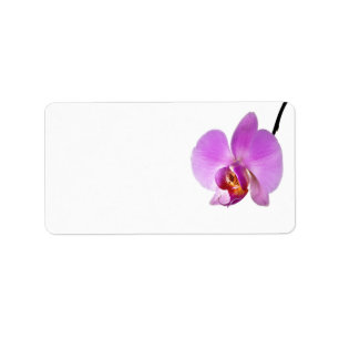 Etiqueta Flor cor-de-rosa da orquídea
