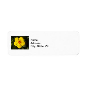 Etiqueta Flor de Hibiscus Amarelo