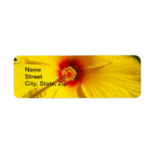 Etiqueta Flor de Hibiscus Amarelo