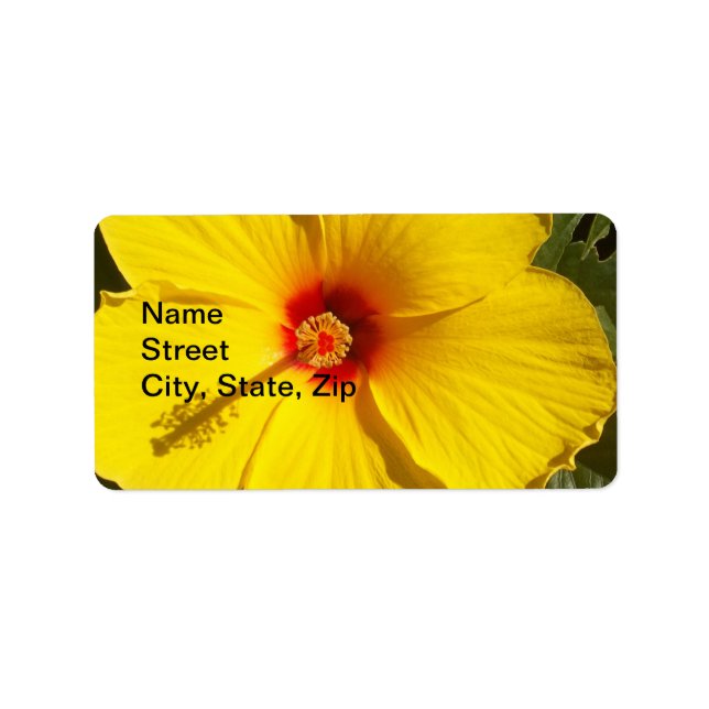 Etiqueta Flor de Hibiscus Amarelo (Frente)
