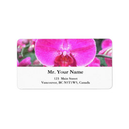 Etiqueta Flor de orquídea rosa, fotografia floral