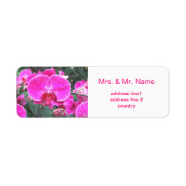 Etiqueta Flor de orquídea rosa, fotografia floral