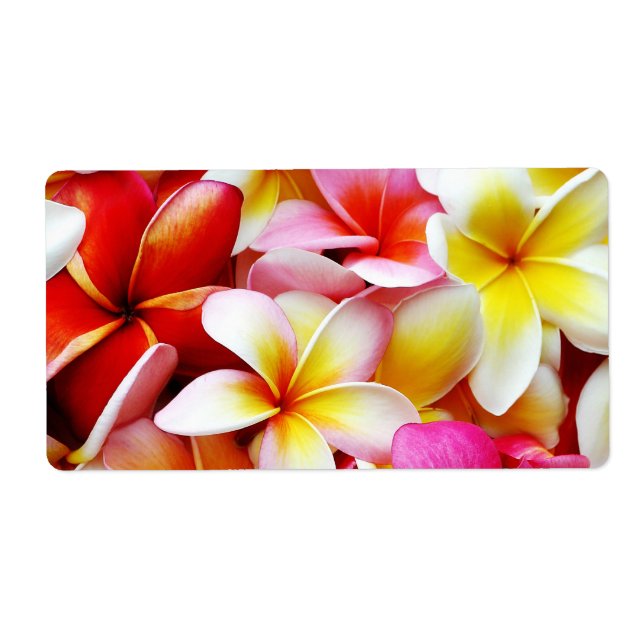 Etiqueta Flor Plumeria Frangipani Hawaii Personalizado (Frente)