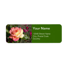 Etiqueta Flor rosa bonito e rosa amarela, sob medida