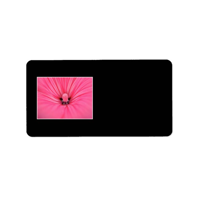 Etiqueta Flor Rosa Brilhante. (Frente)