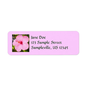 Etiqueta Flor Tropical de Hibiscus Rosa